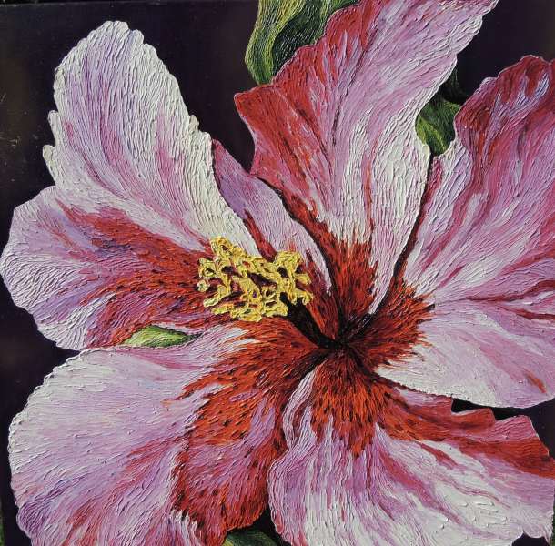 Hibiscus